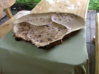 Holzschalen